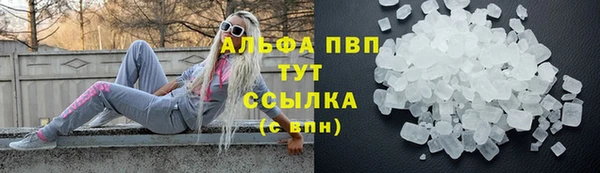 PSILOCYBIN Бронницы