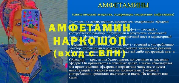 МДПВ Бородино