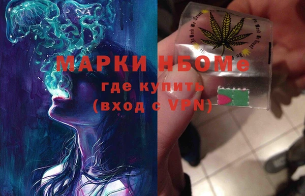 МДПВ Бородино