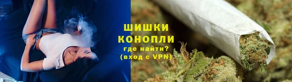 прущие грибы Бугульма