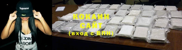 МДПВ Бородино