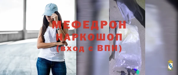 МДПВ Бородино