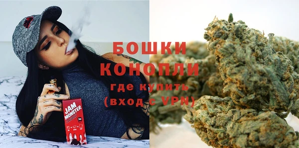 PSILOCYBIN Бронницы