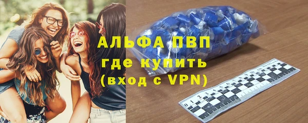 МДПВ Бородино