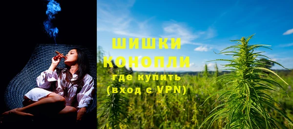 PSILOCYBIN Бронницы