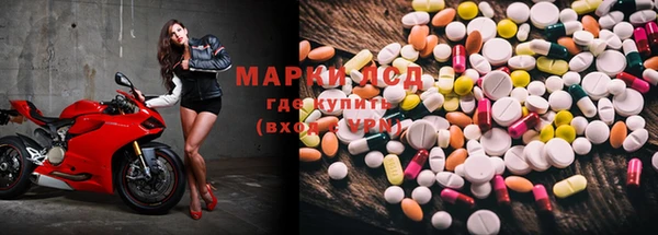 МДПВ Бородино