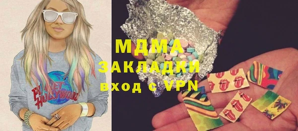 МДПВ Бородино