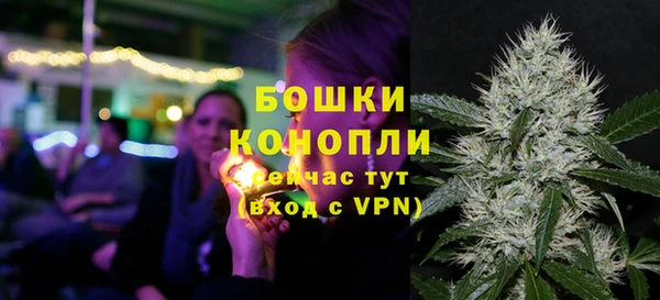 прущие грибы Бугульма