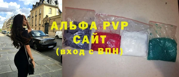 МДПВ Бородино