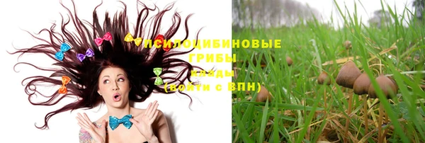 МДПВ Бородино